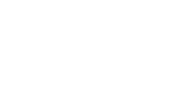DSP Merrill Lynch